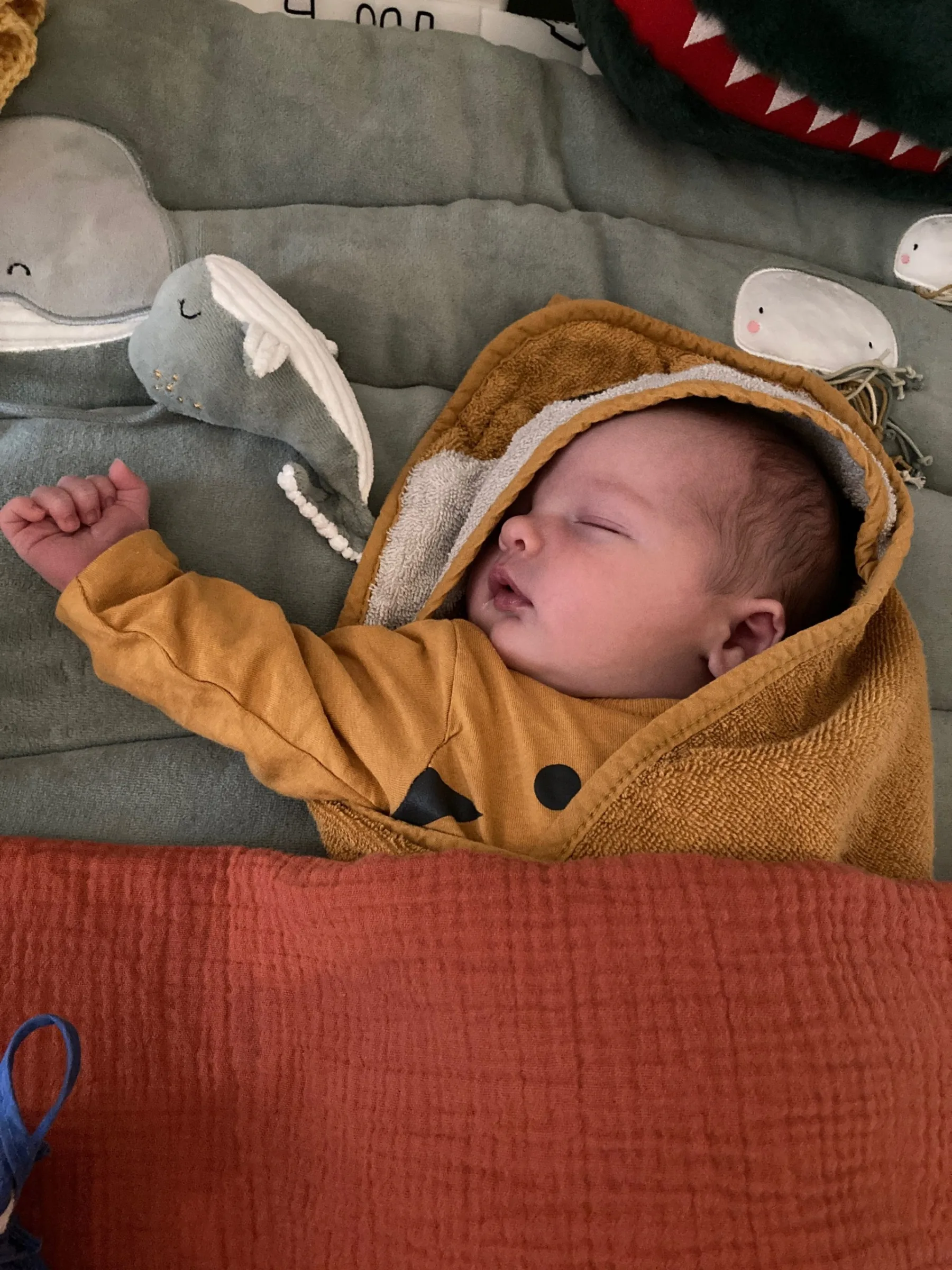 De geboorte van onze zoon Sam