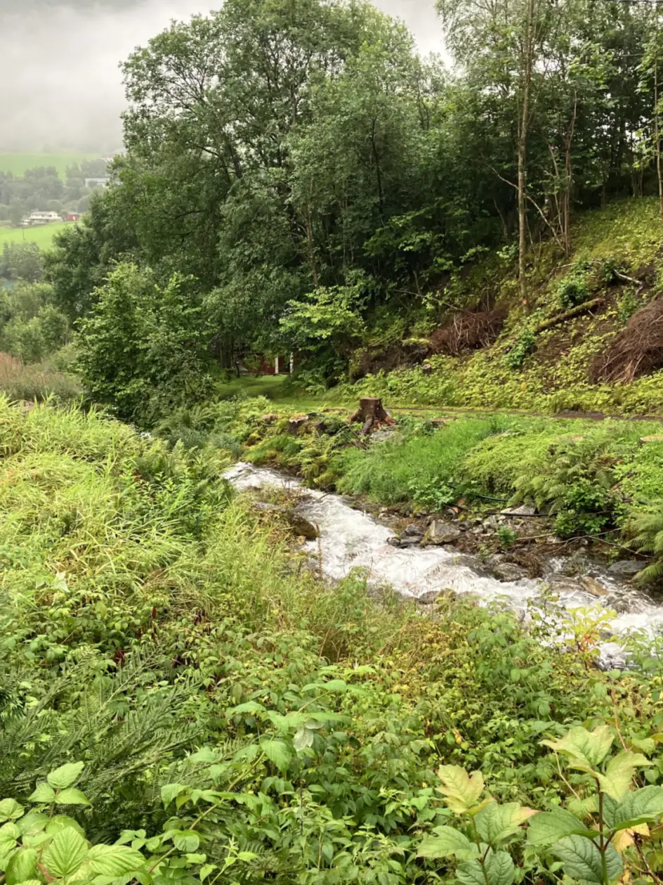 Het watervalletje na twee dagen regen